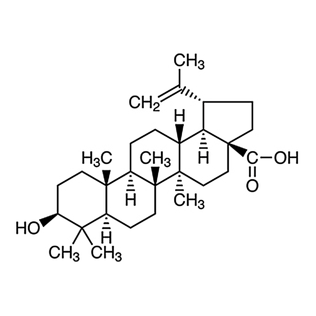 TCI Betulinic Acid