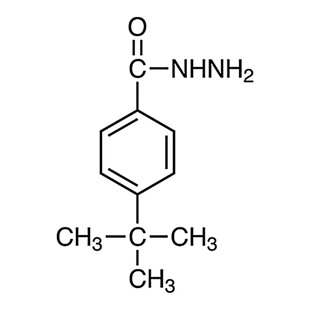 TCI 4-tert-Butylbenzohydrazide