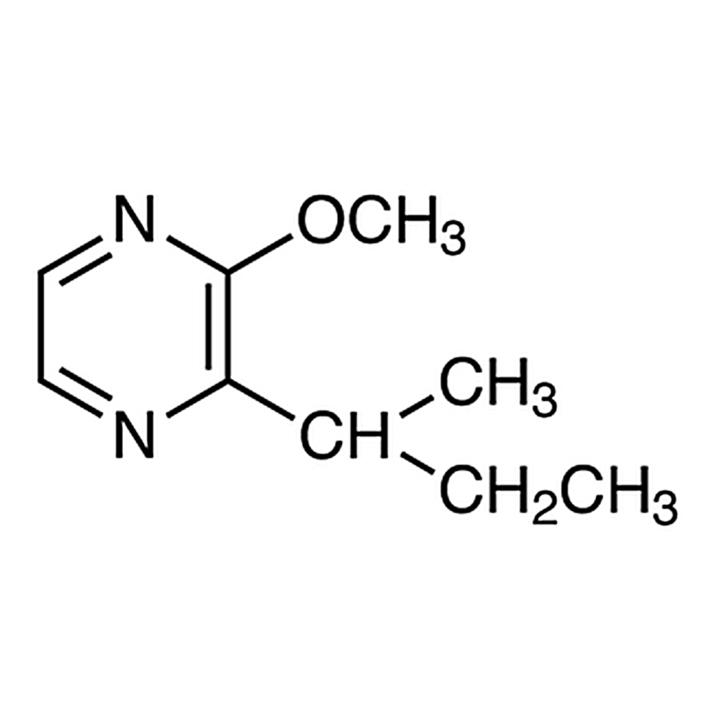 TCI 2-sec-Butyl-3-methoxypyrazine