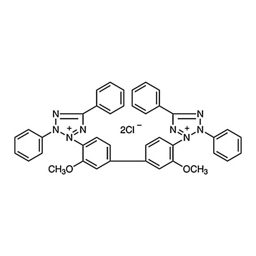 TCI Blue Tetrazolium [for Biochemical Research]