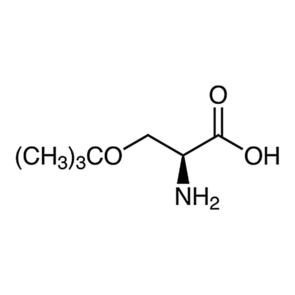 TCI O-tert-Butyl-L-serine