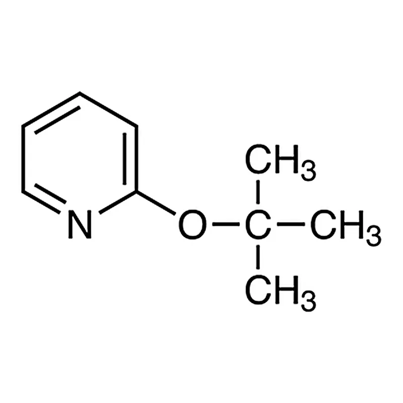 TCI 2-tert-Butoxypyridine