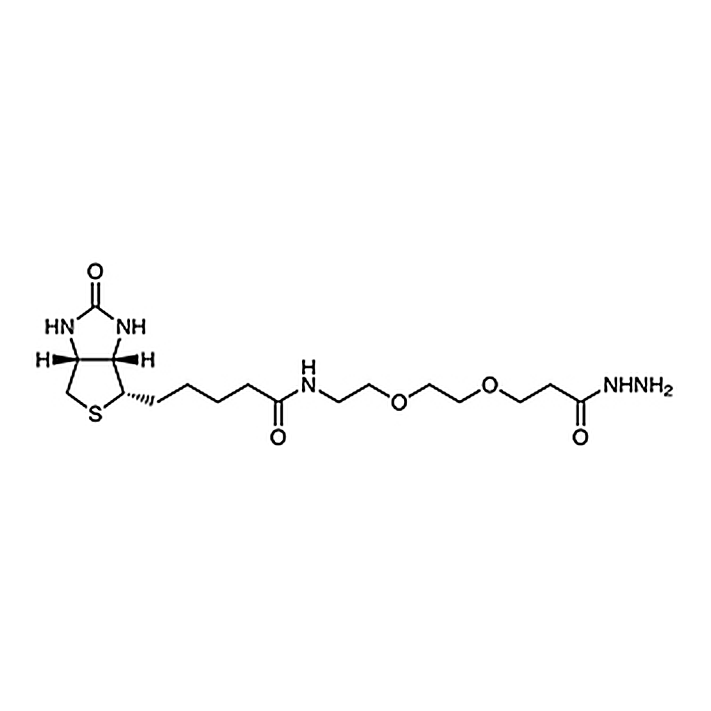 TCI Biotin-PEG2-Hydrazide