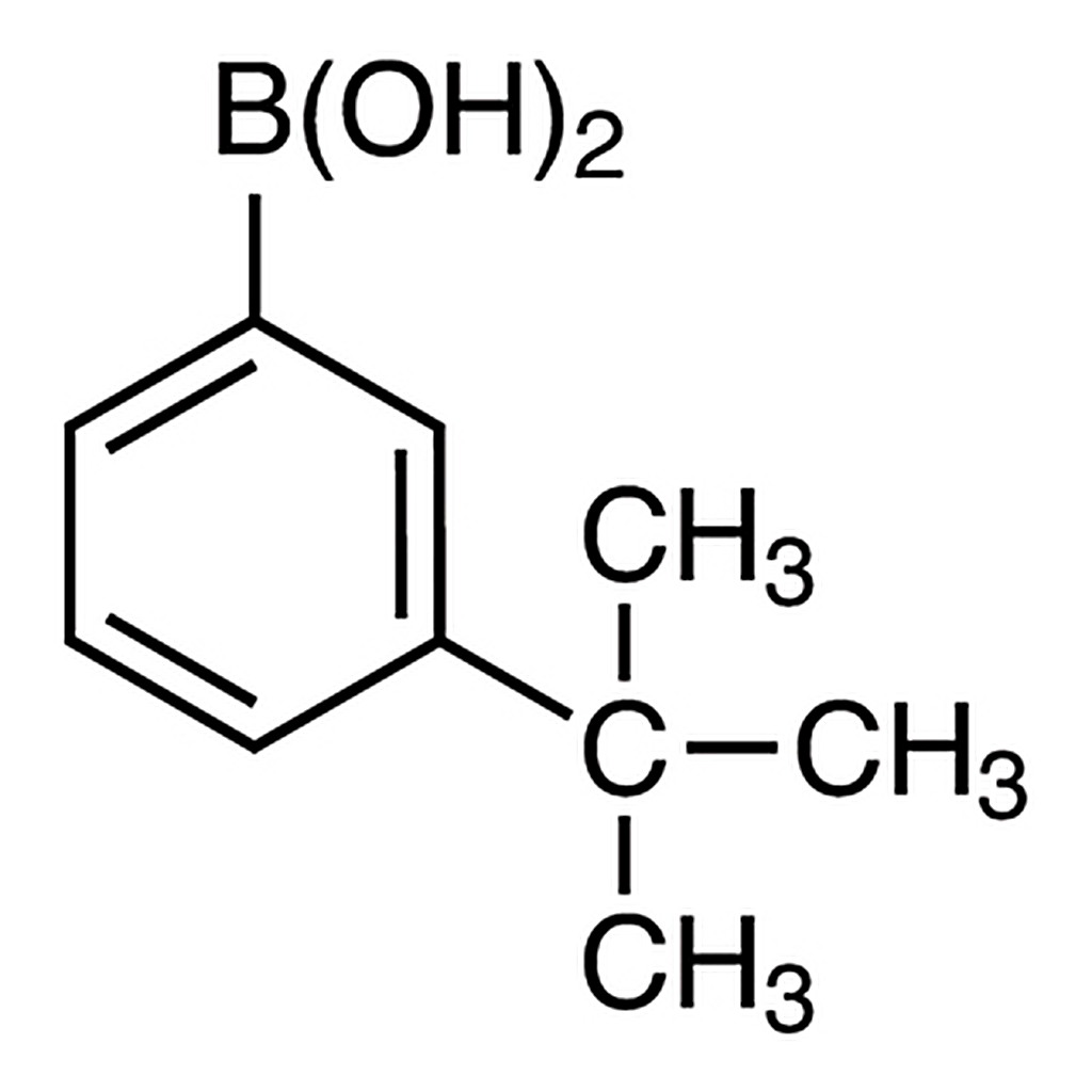 TCI 3-tert-Butylphenylboronic Acid (contains varying amounts of Anhydride)