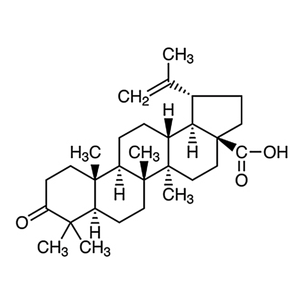 TCI Betulonic Acid