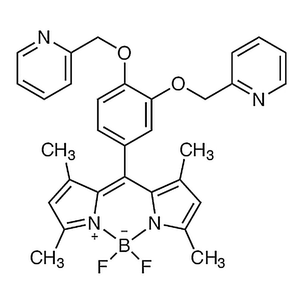TCI BIP