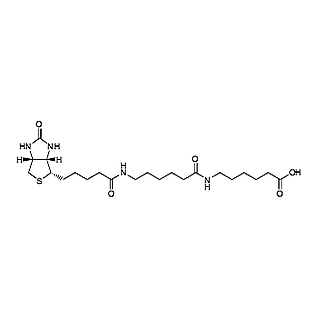 TCI N-Biotinylcaproylaminocaproic Acid
