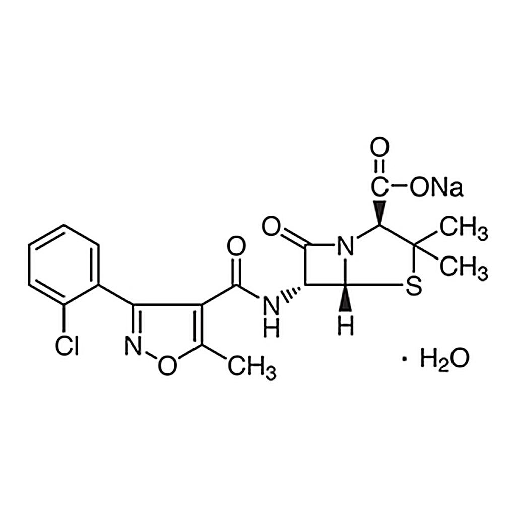 TCI Cloxacillin Sodium Salt Monohydrate