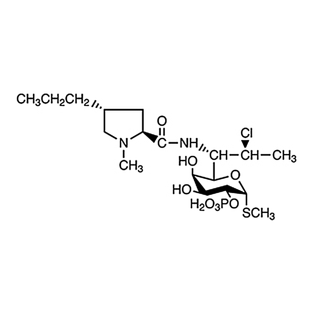 TCI Clindamycin Phosphate