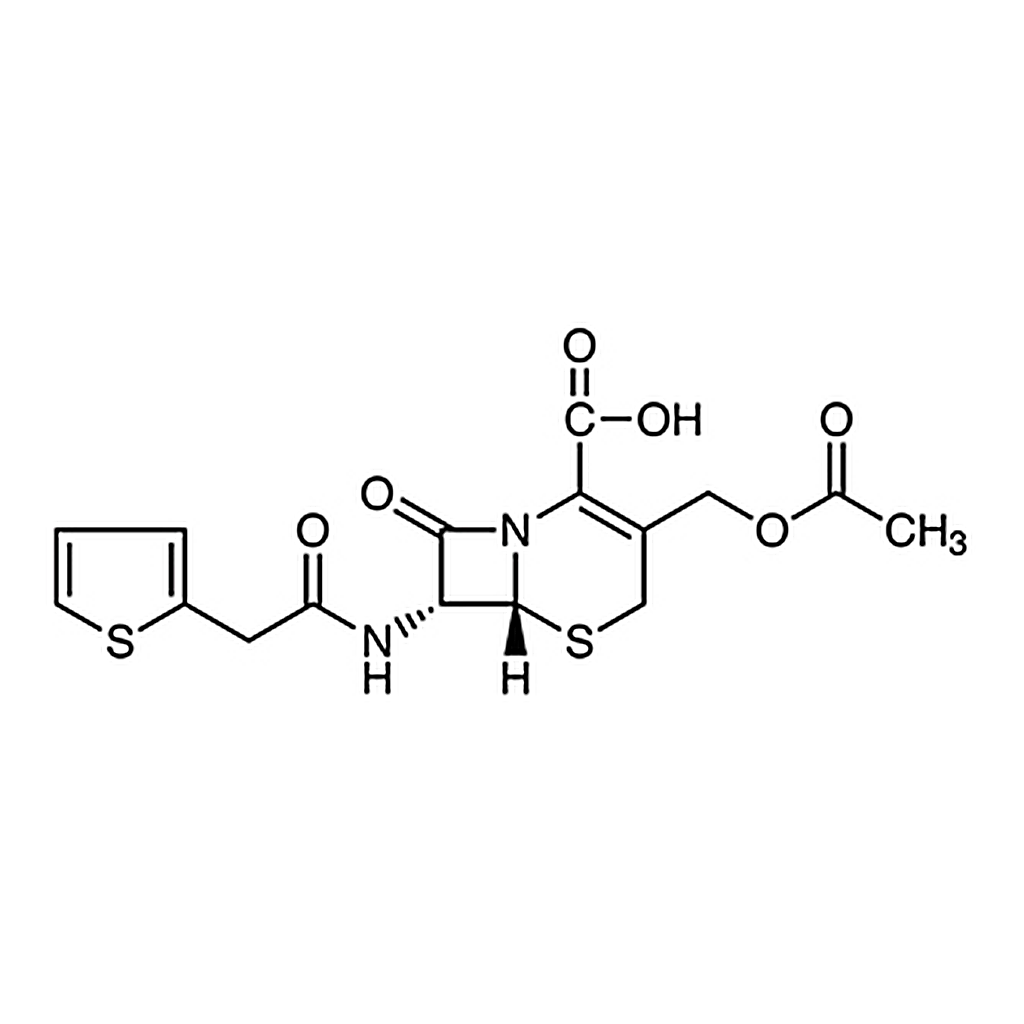 TCI Cephalothin