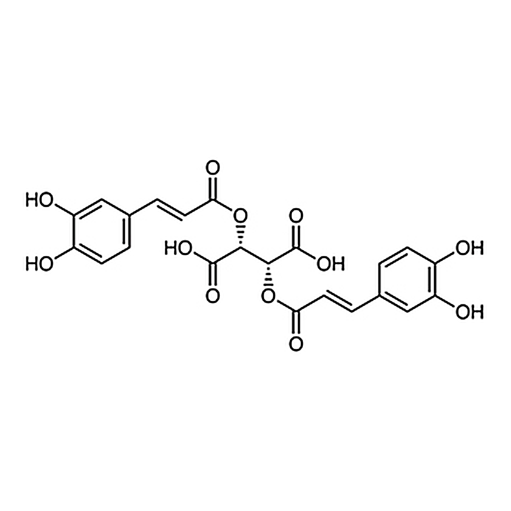 TCI Chicoric Acid