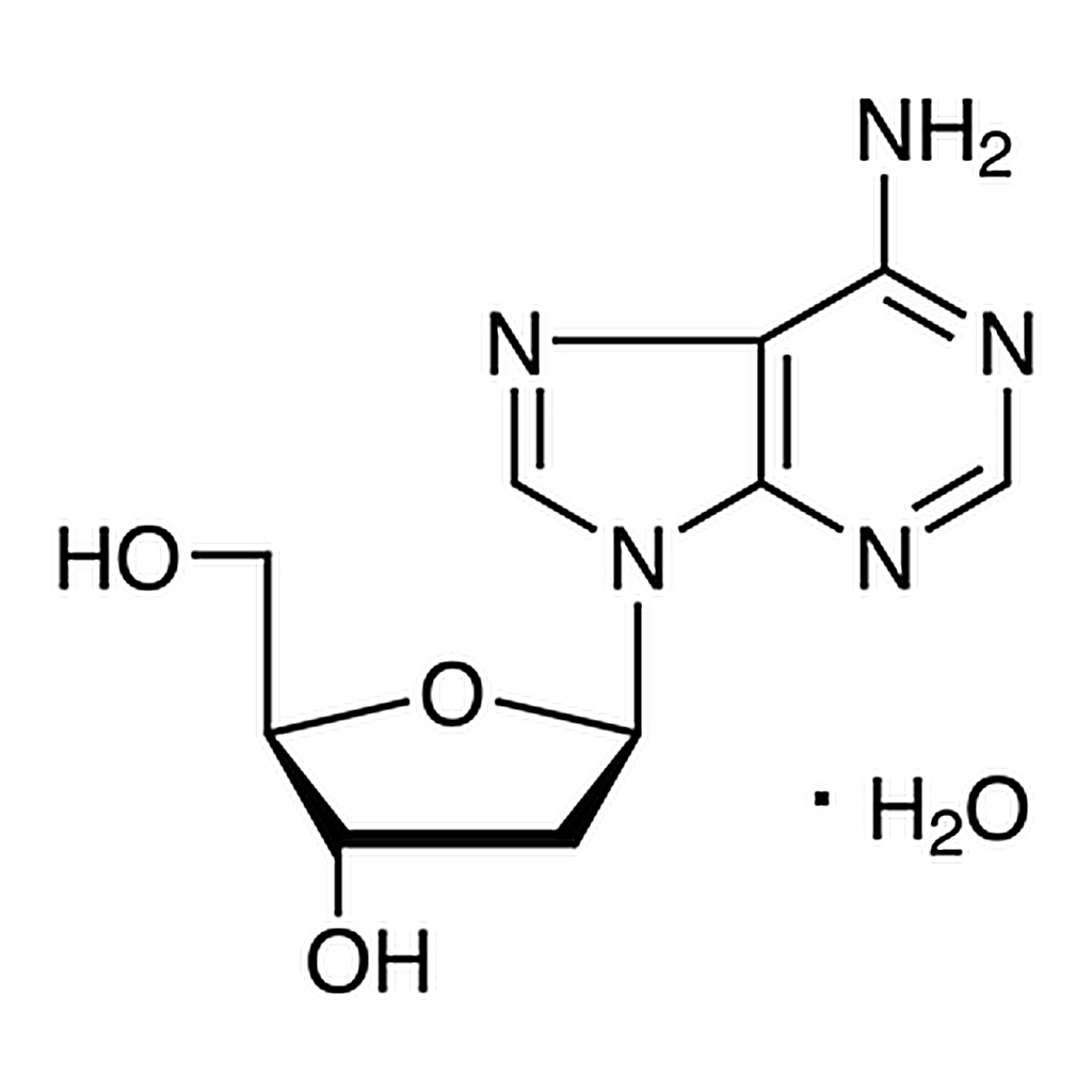 TCI 2'-Deoxyadenosine Monohydrate