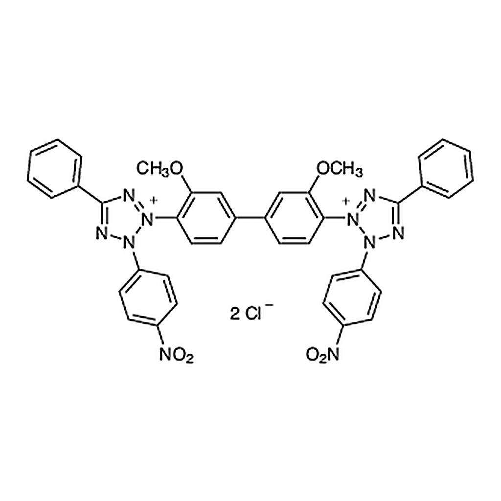 TCI Nitro Blue Tetrazolium [for Biochemical Research]