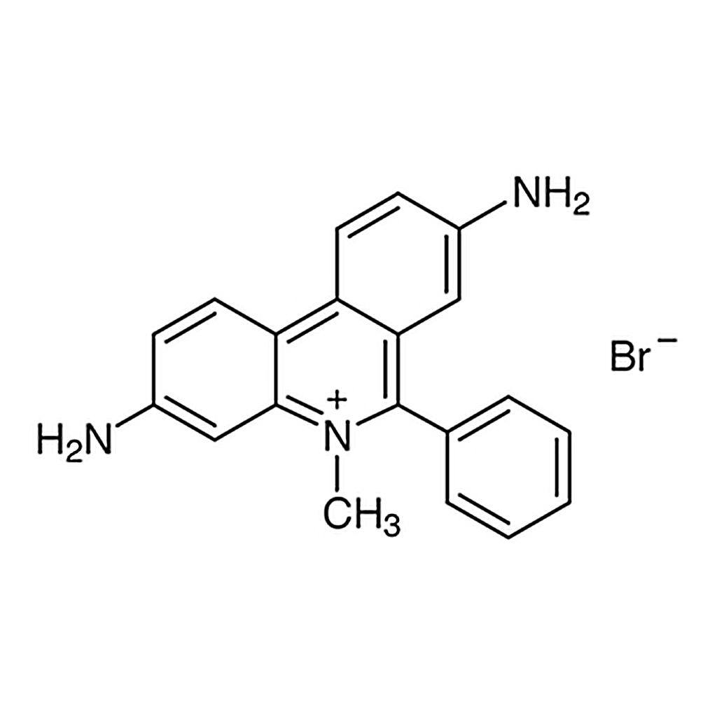 TCI Dimidium Bromide