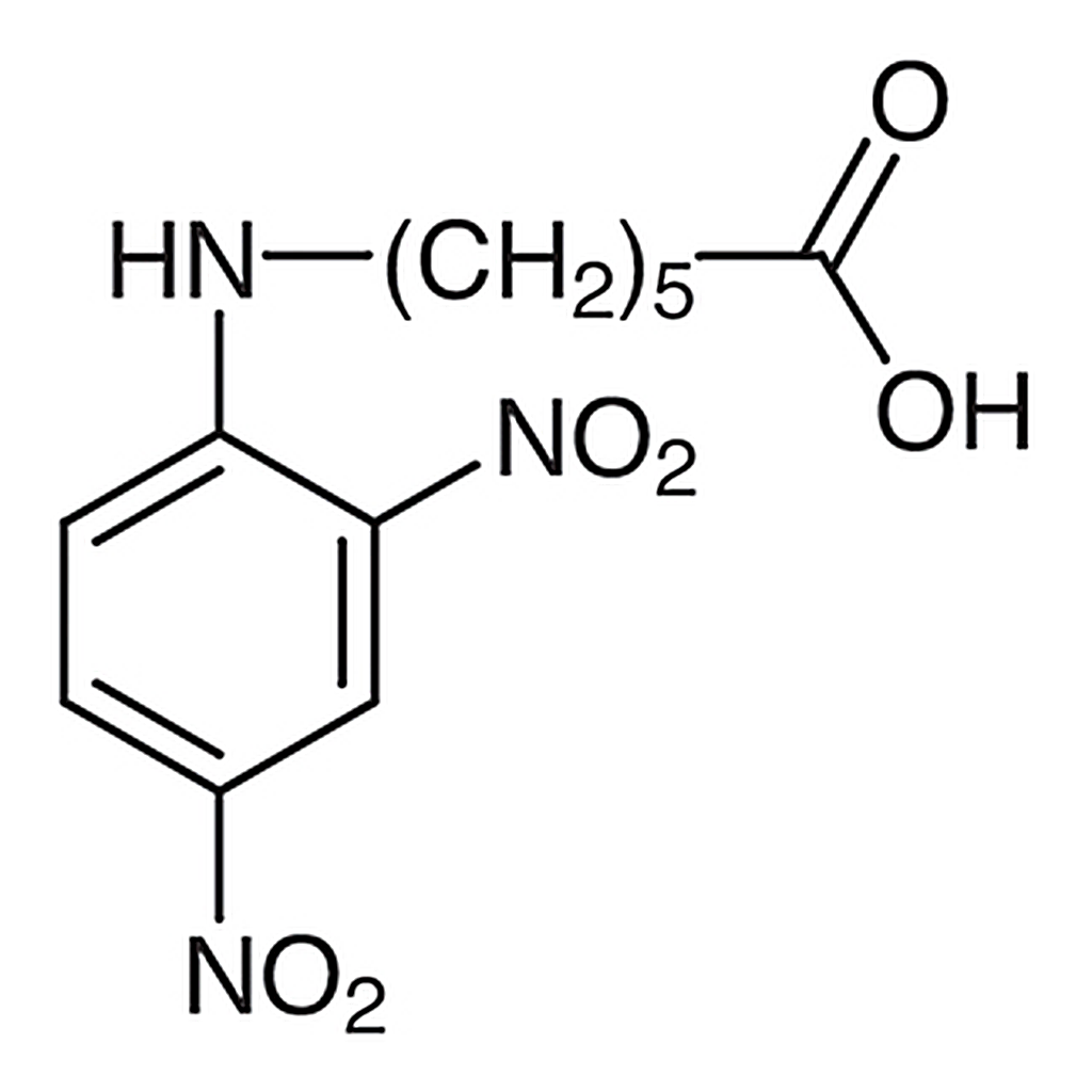 TCI N-(2,4-Dinitrophenyl)-6-aminohexanoic Acid