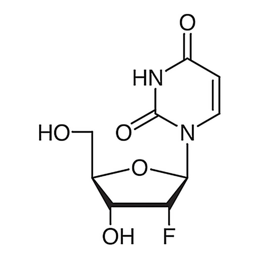TCI 2'-Deoxy-2'-fluorouridine