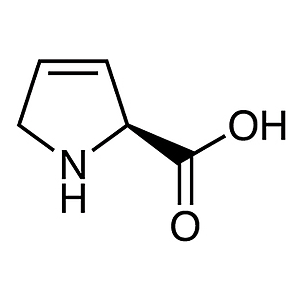 TCI 3,4-Dehydro-L-proline