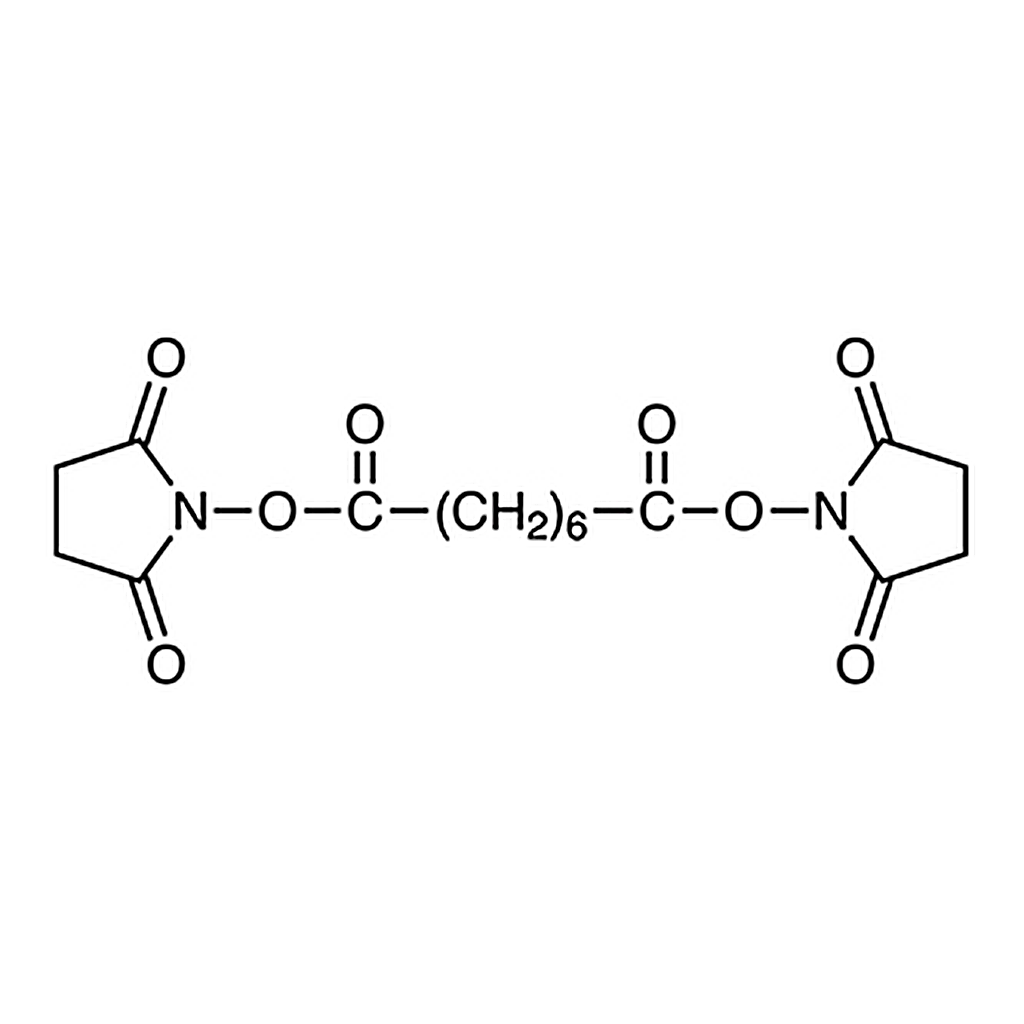 TCI Di(N-succinimidyl) Suberate