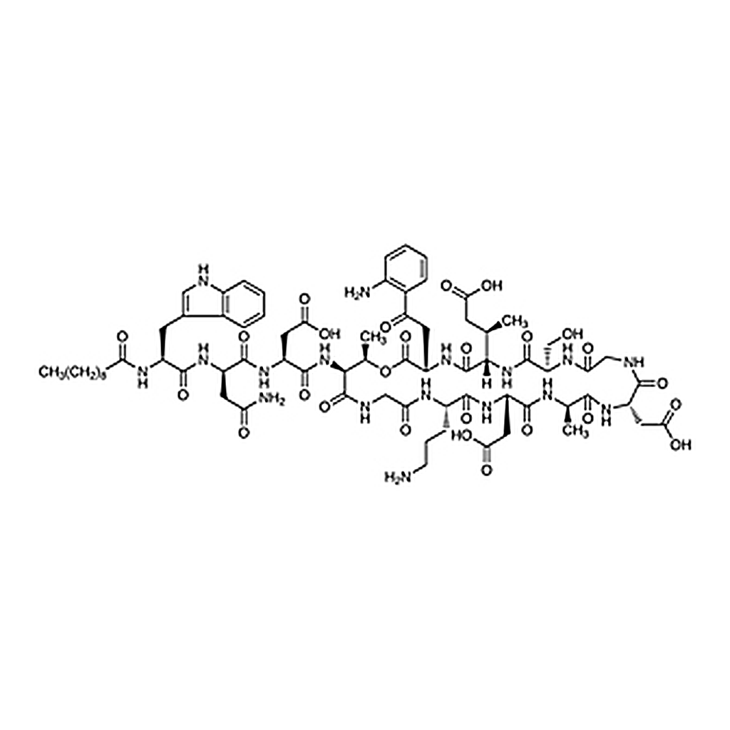 TCI Daptomycin
