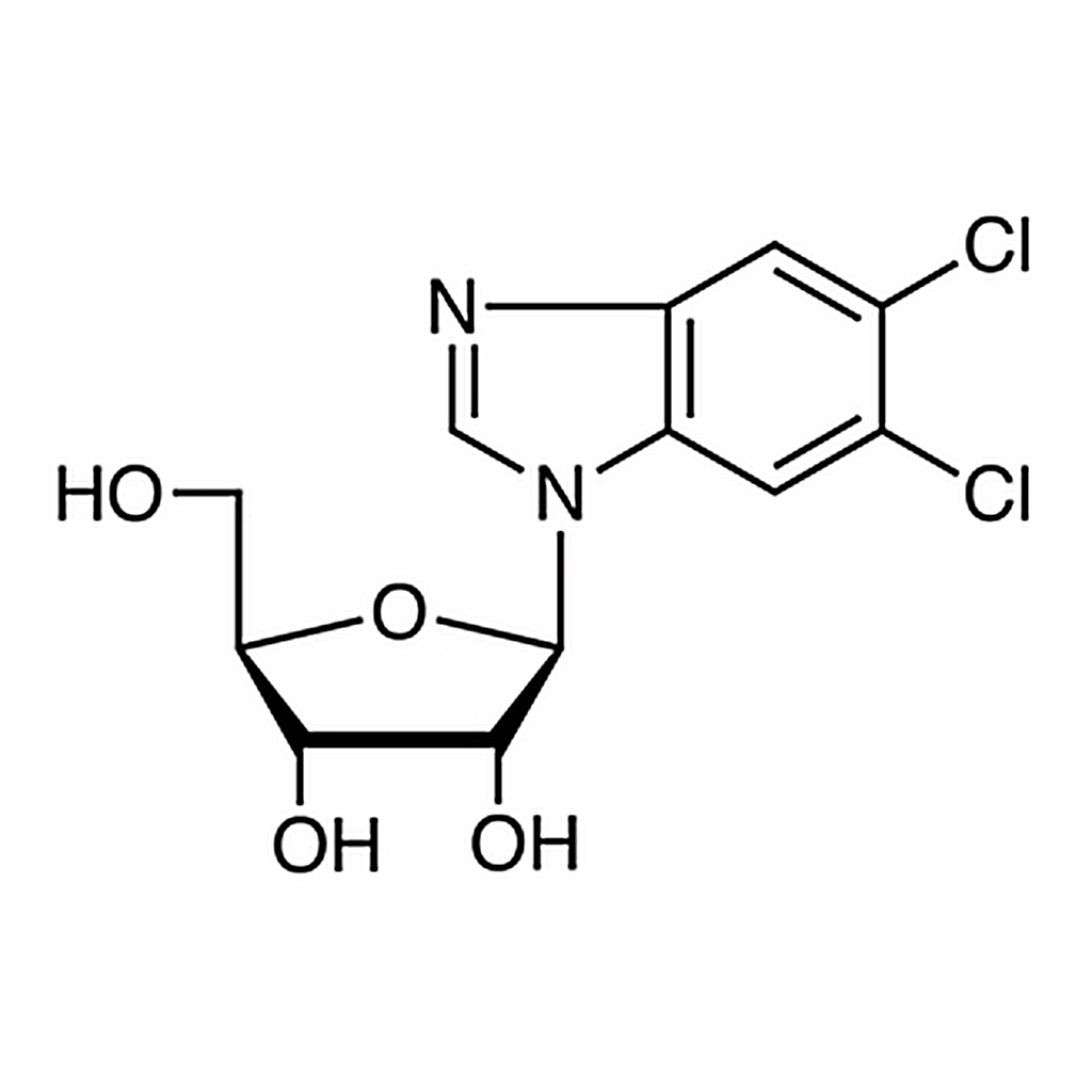 TCI 5,6-Dichlorobenzimidazole 1-β-D-Ribofuranoside