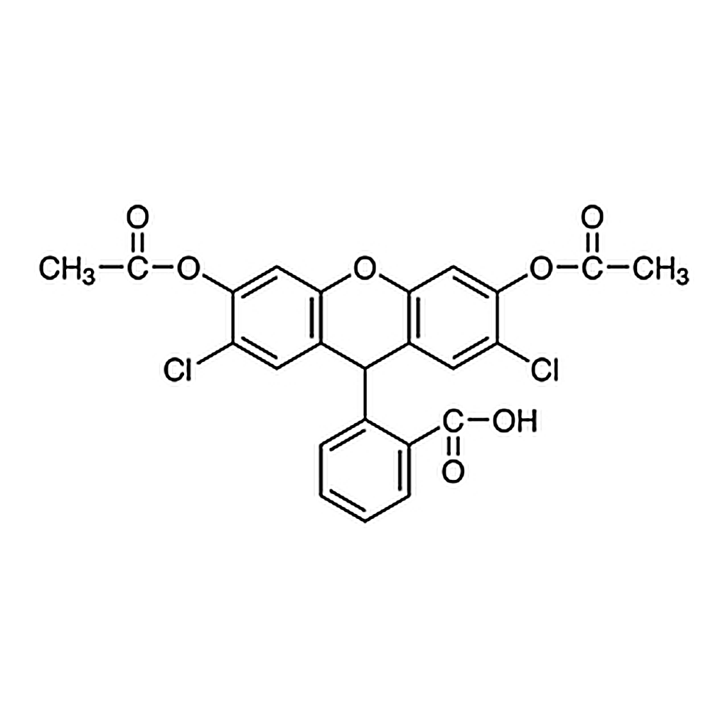 TCI 2',7'-Dichlorodihydrofluorescein Diacetate