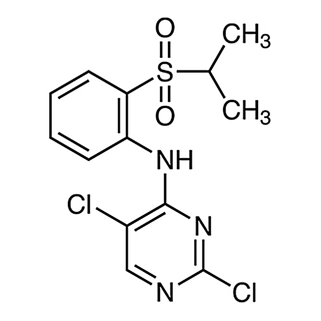 TCI 2,5-Dichloro-N-[2-(isopropylsulfonyl)phenyl]pyrimidin-4-amine
