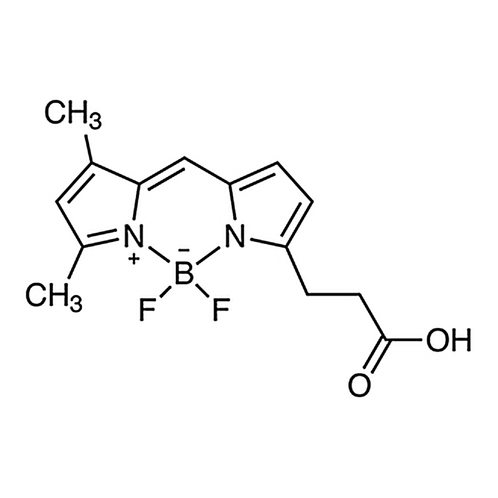 TCI BDP FL