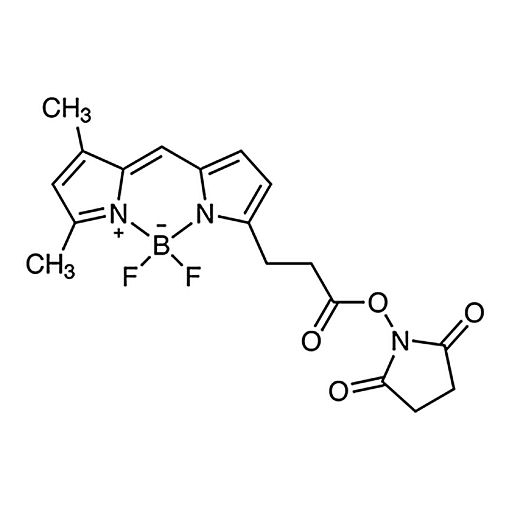 TCI BDP FL NHS Ester