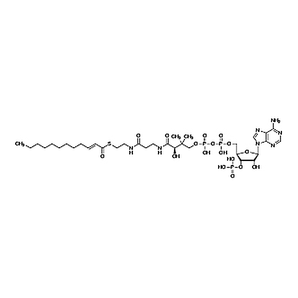 TCI 2-trans-Dodecenoyl-Co A