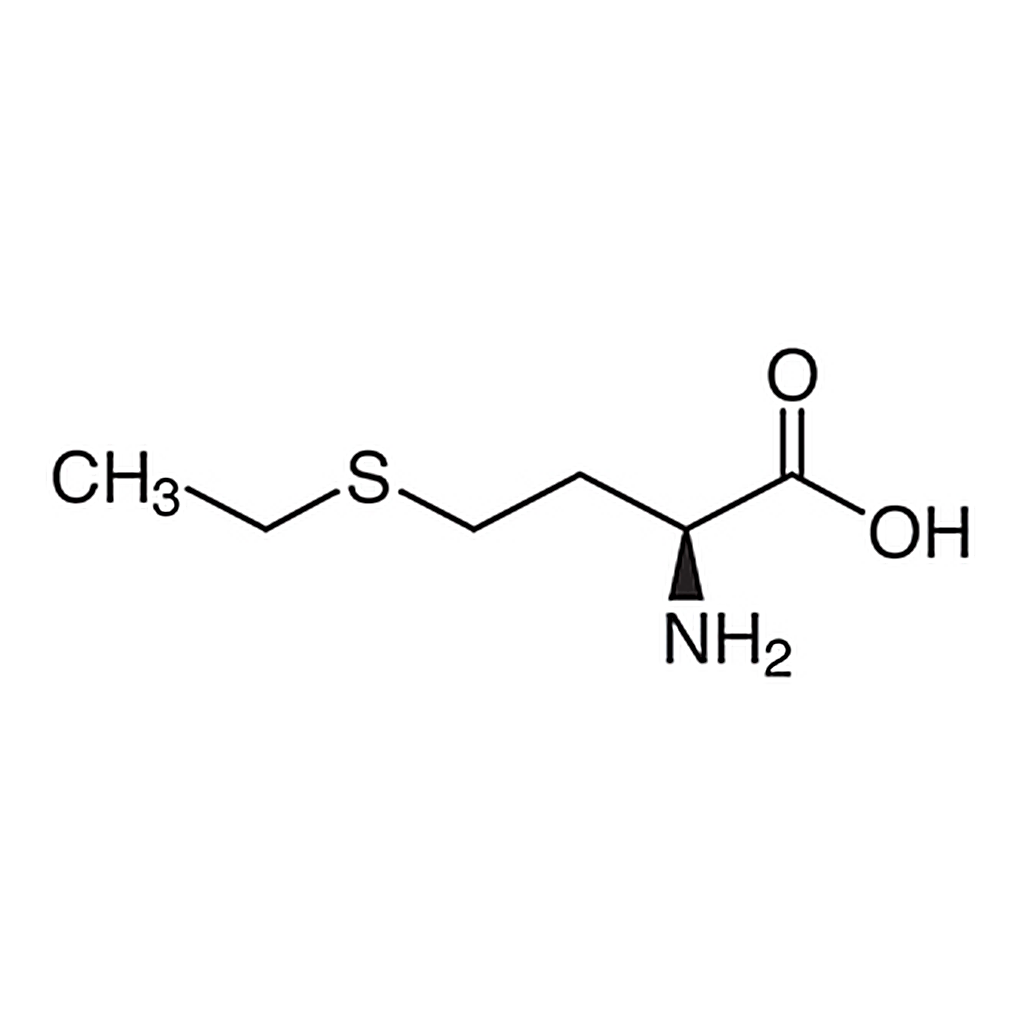 TCI L-Ethionine