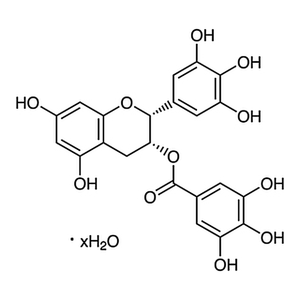 TCI (-)-Epigallocatechin Gallate Hydrate
