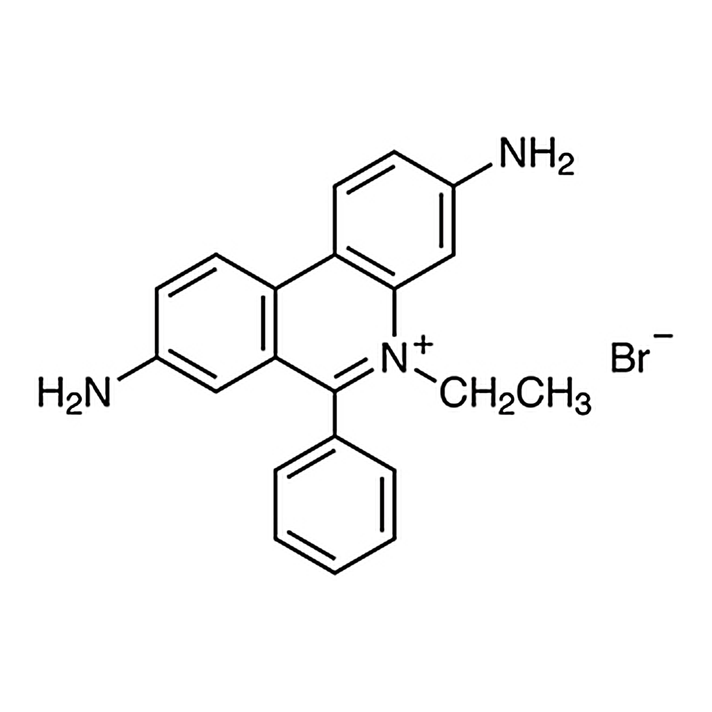 TCI Ethidium Bromide (0.5mg/mL in Water) (in Dropper Bottle) [for Electrophoresis]