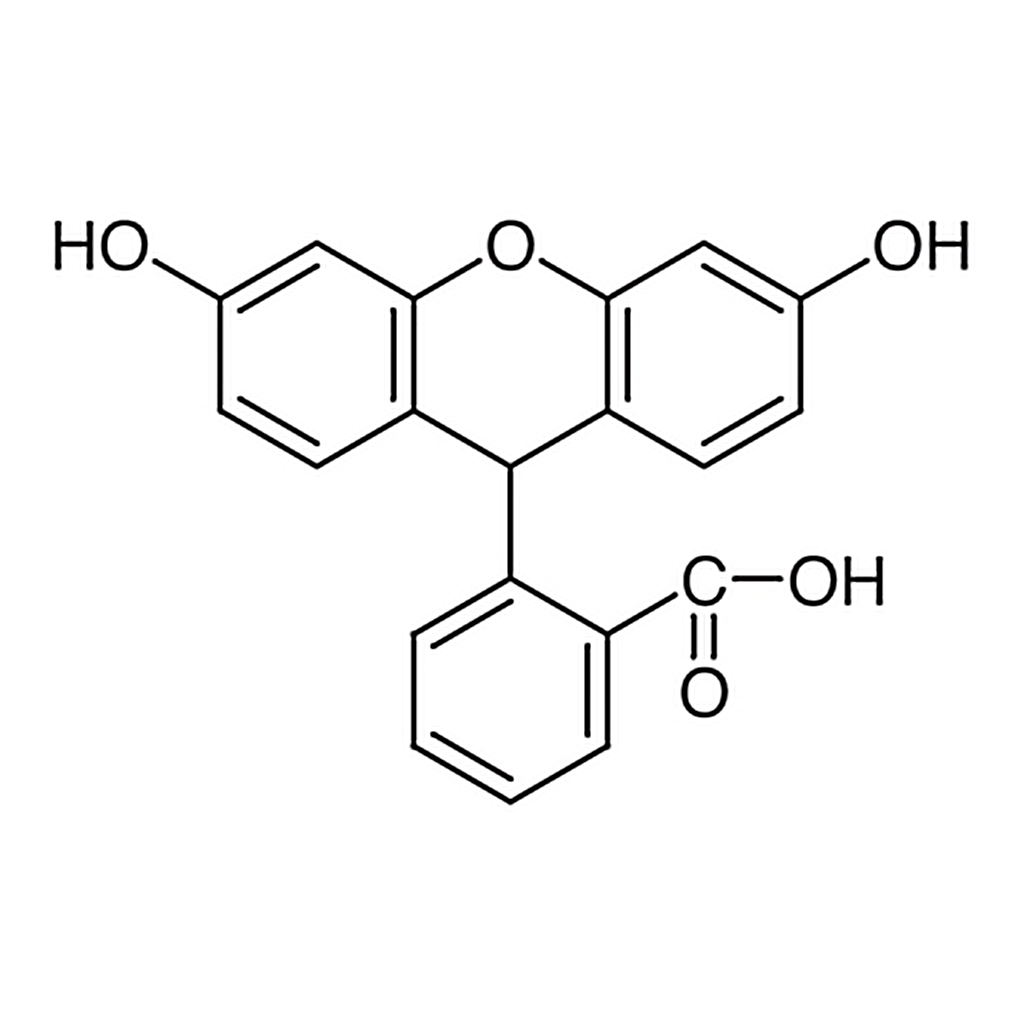 TCI Fluorescin [Reagent for Oxydases and Peroxydases]