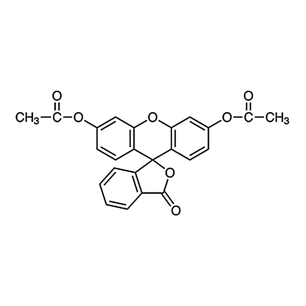 TCI Fluorescein Diacetate