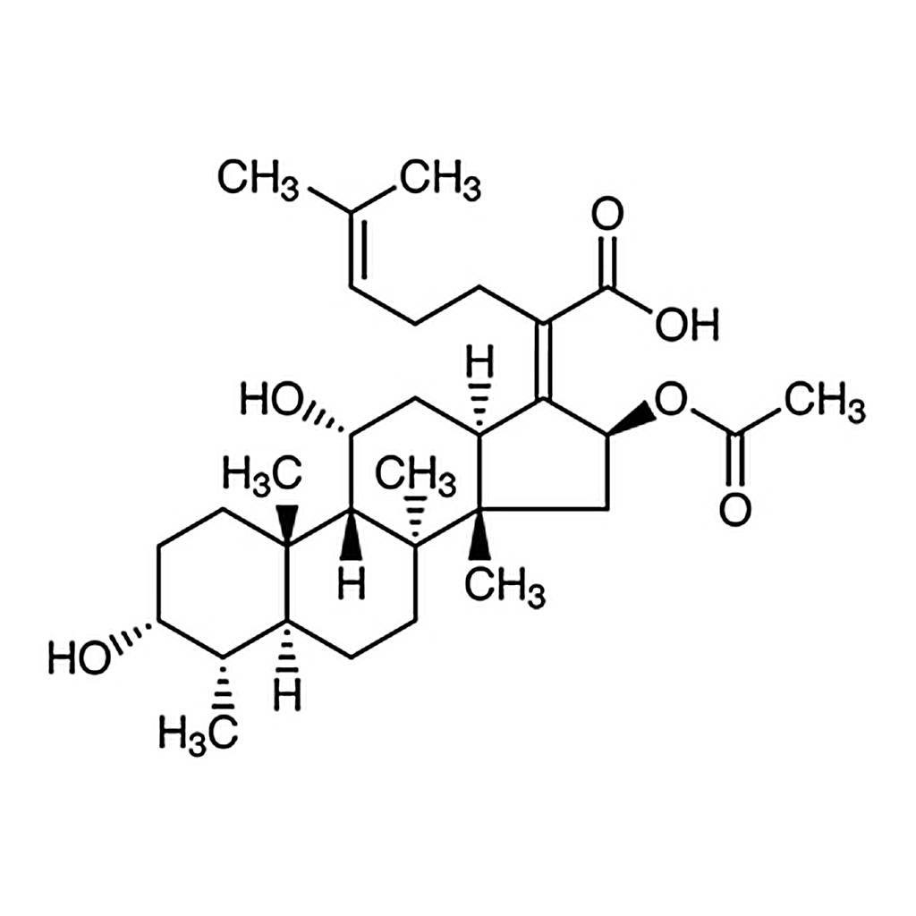 TCI Fusidic Acid