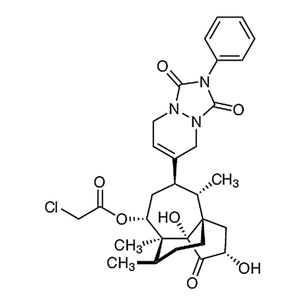 TCI Ferroptocide