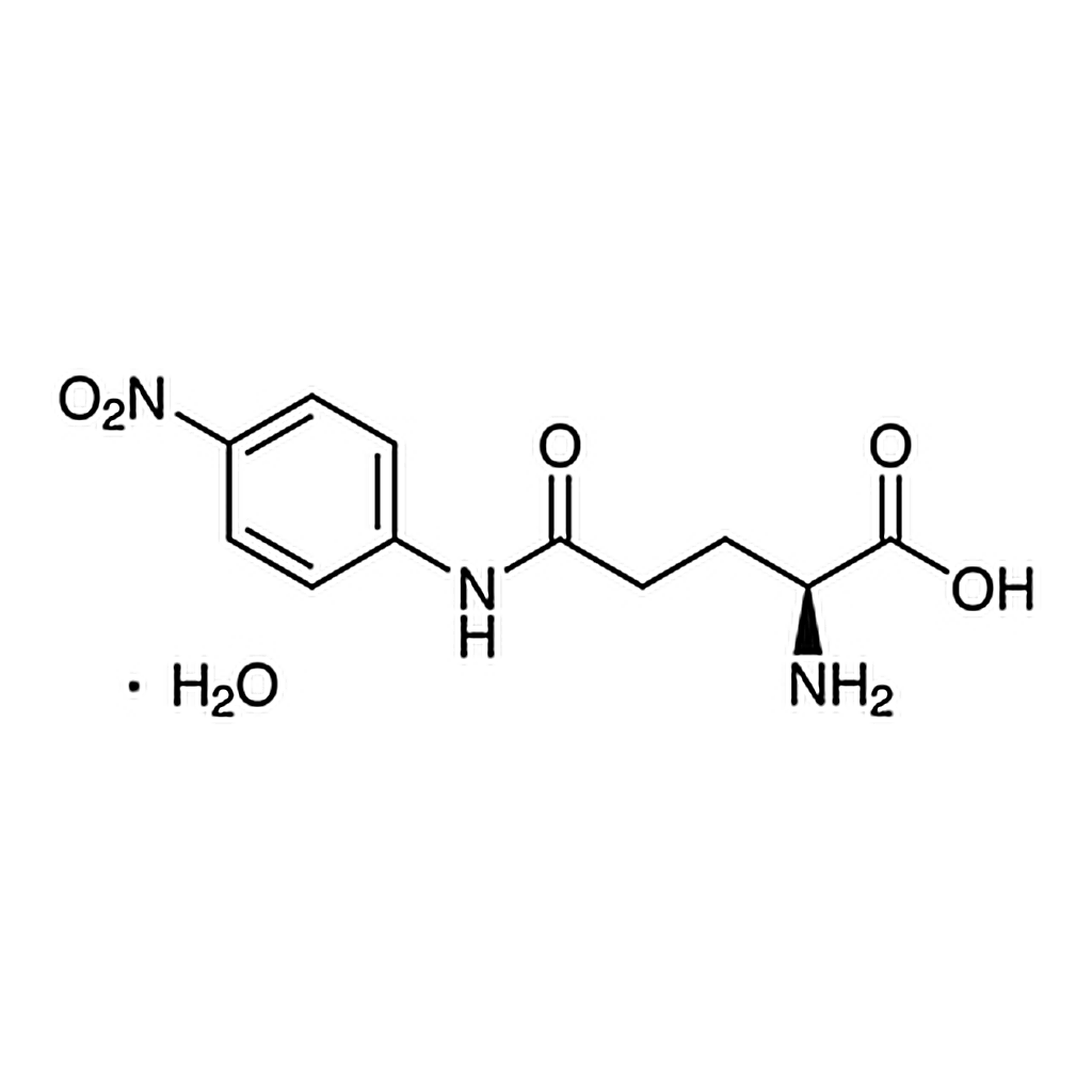 TCI L-γ-Glutamyl-p-nitroanilide Monohydrate