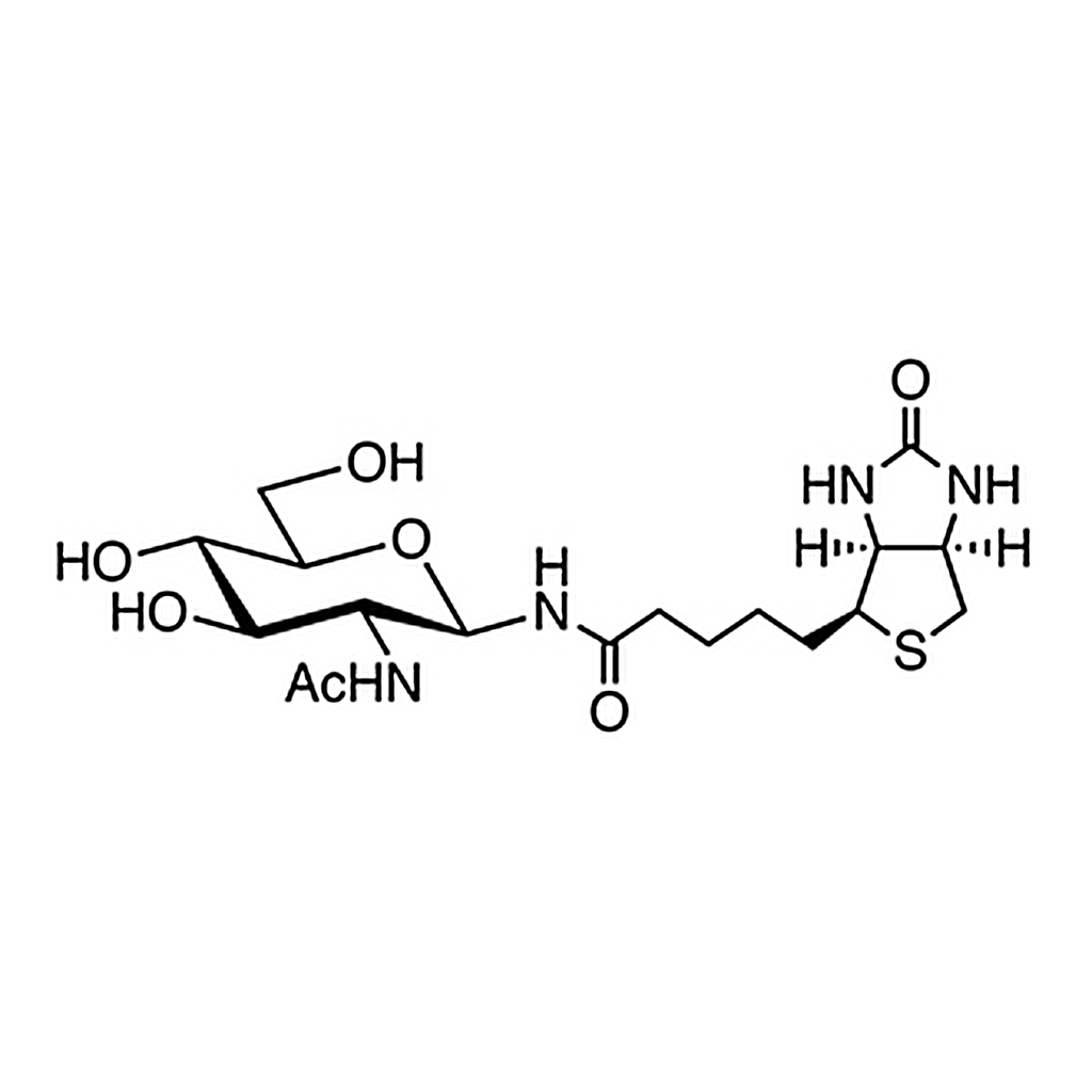 TCI N-GlcNAc-Biotin