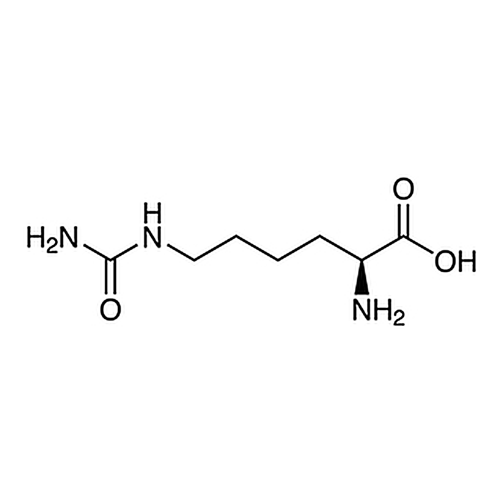 TCI L-Homocitrulline