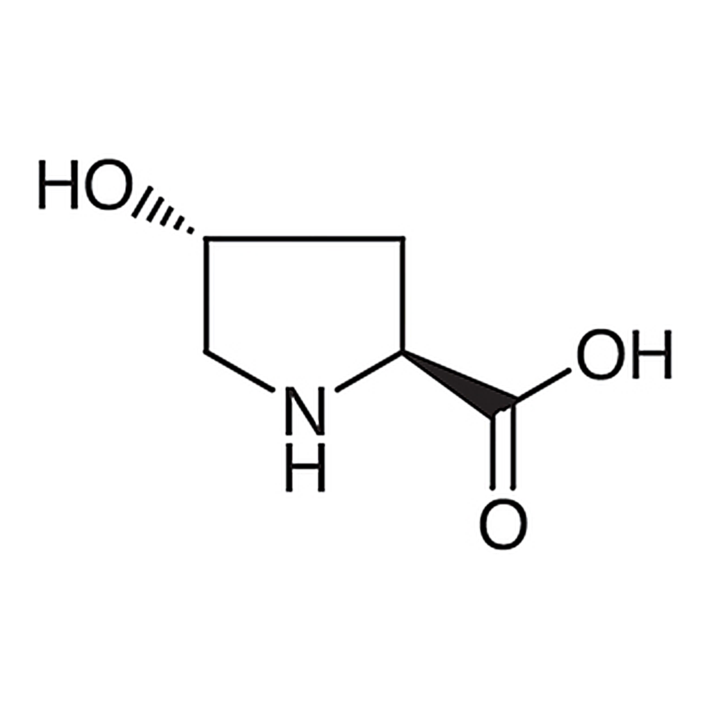 TCI trans-4-Hydroxy-L-proline