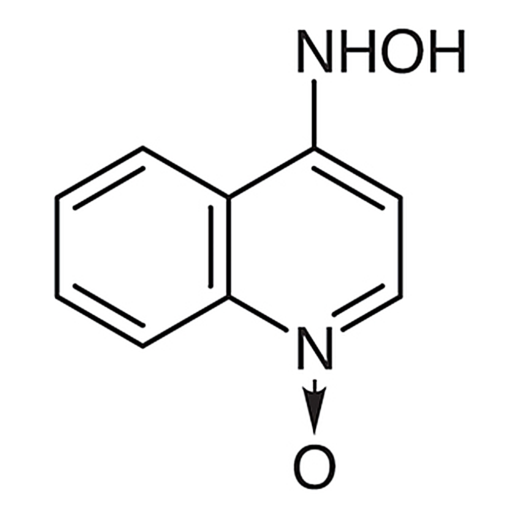 TCI 4-(Hydroxyamino)quinoline N-Oxide