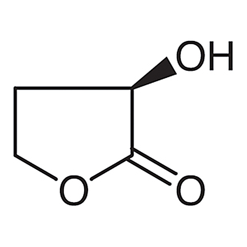 TCI (R)-(+)-α-Hydroxy-γ-butyrolactone