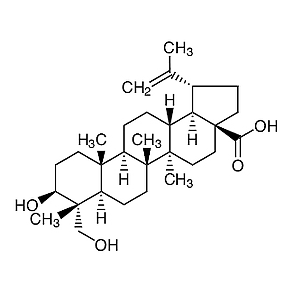 TCI 23-Hydroxybetulinic Acid