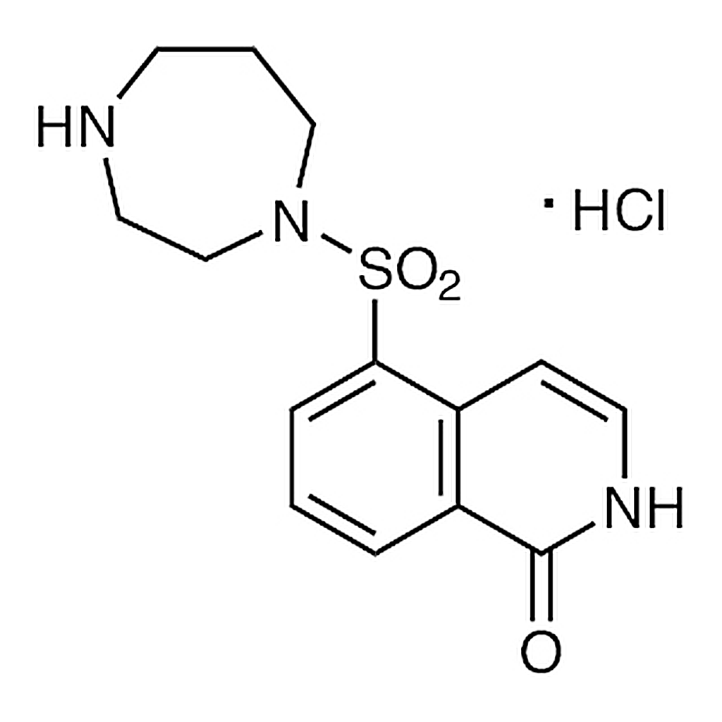 TCI Hydroxyfasudil Hydrochloride