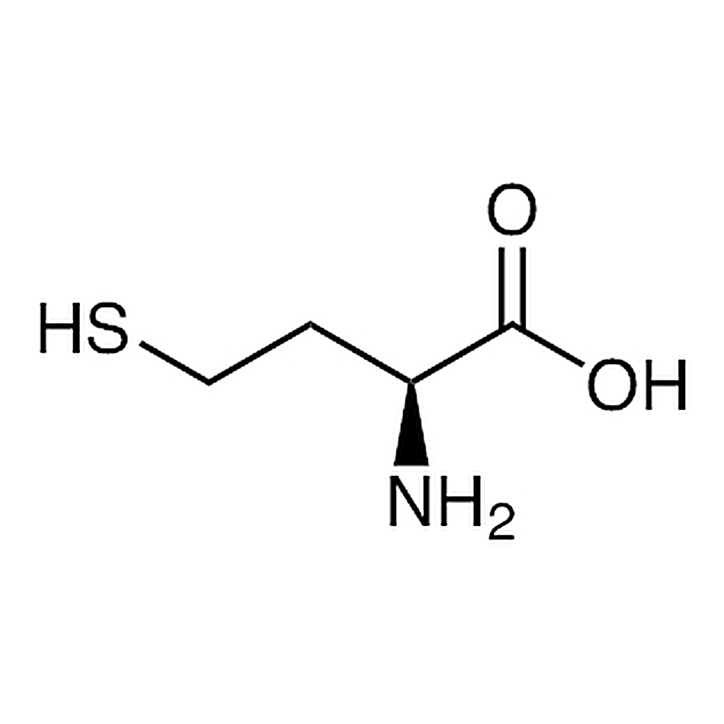 TCI L-Homocysteine