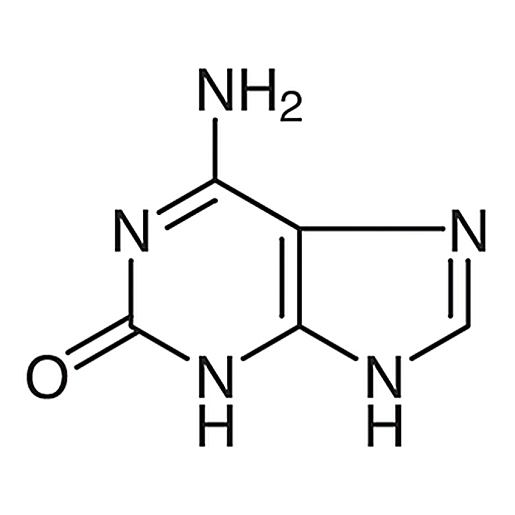 TCI Isoguanine