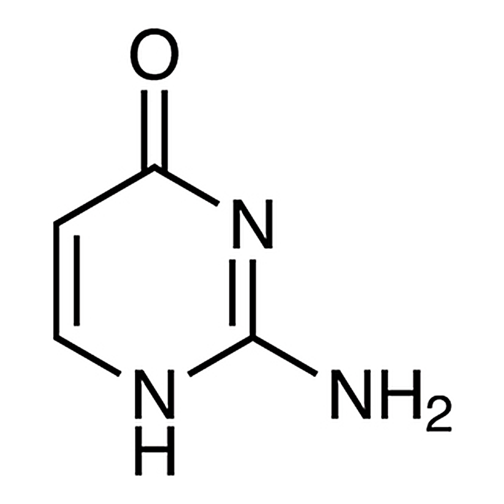 TCI Isocytosine