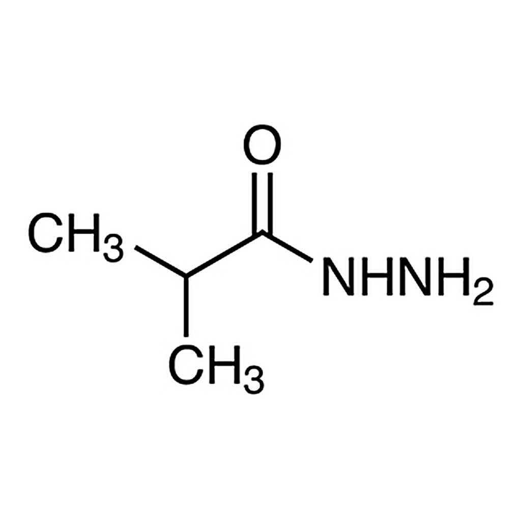 TCI Isobutyric Acid Hydrazide