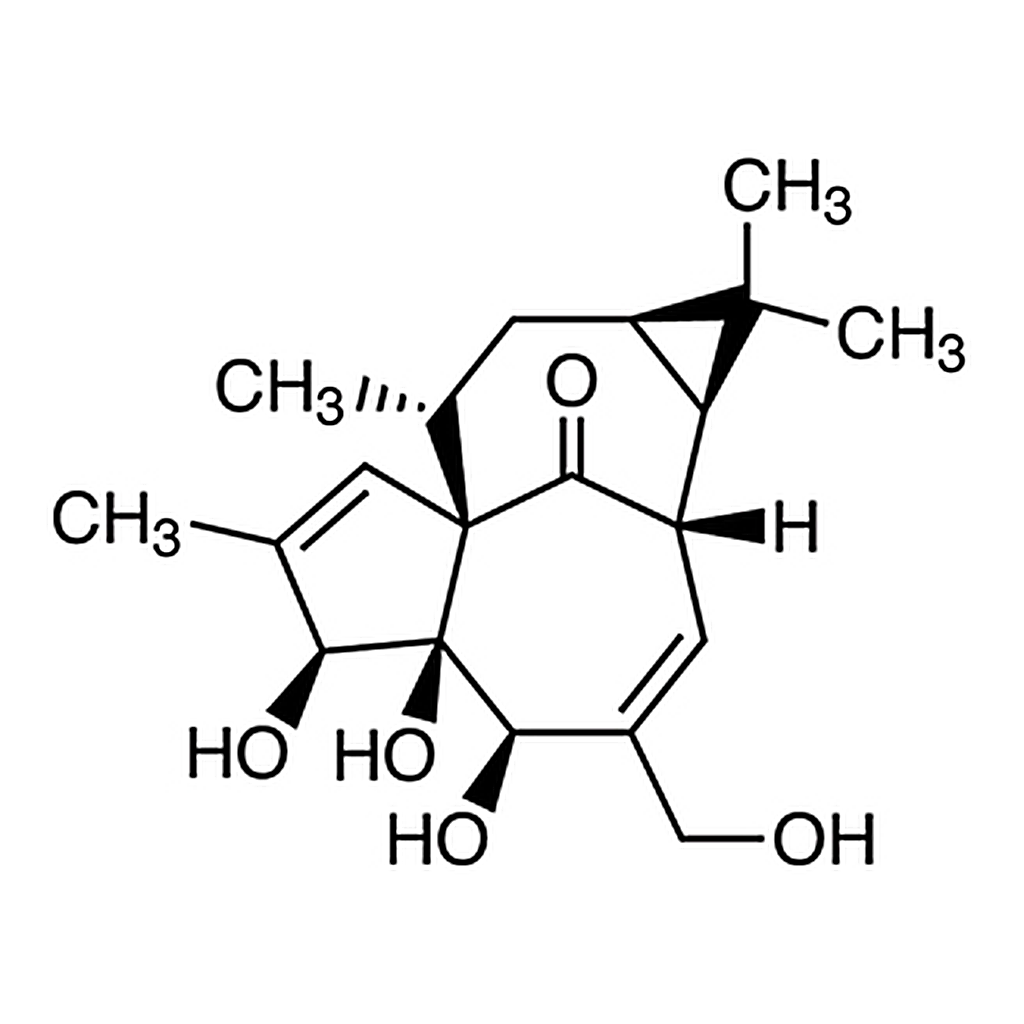 TCI Ingenol