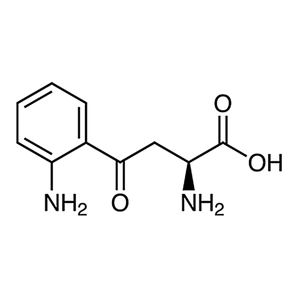 TCI L-Kynurenine